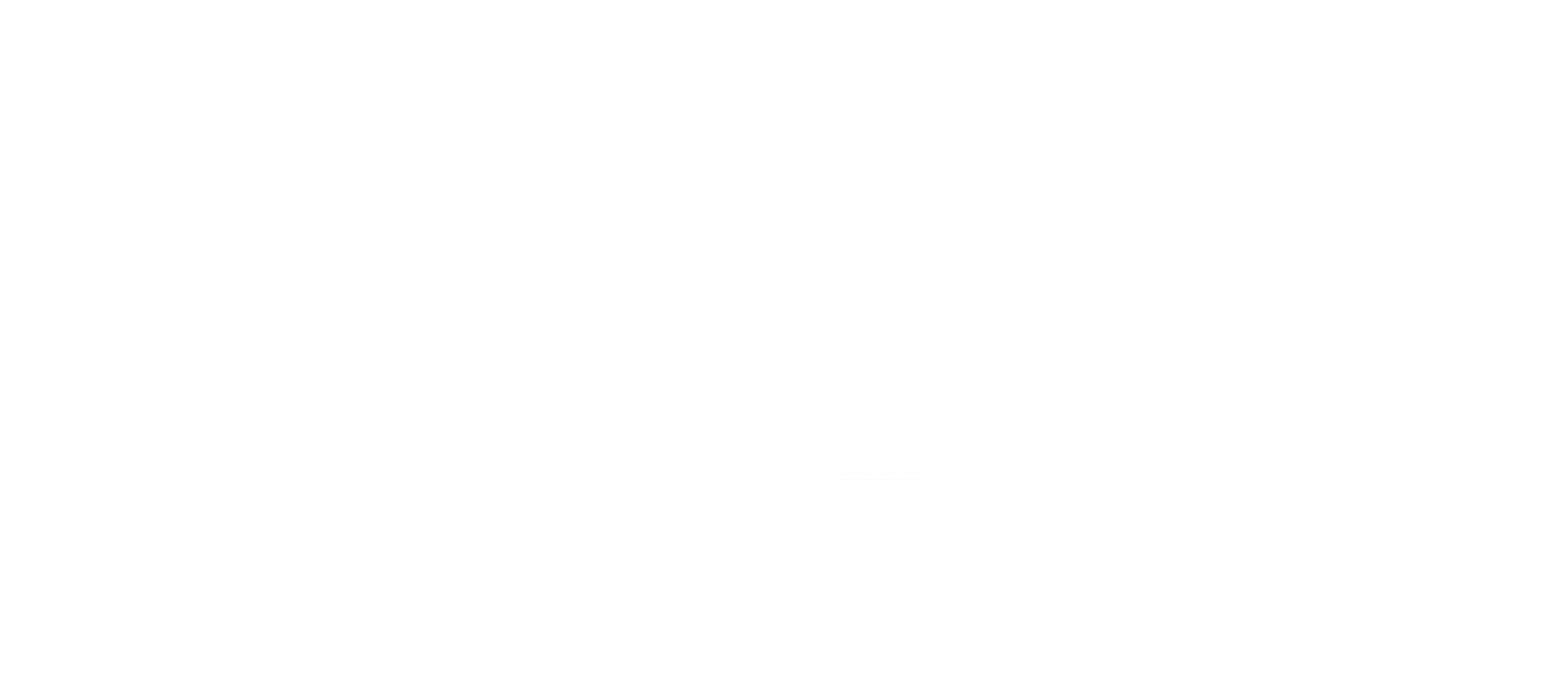 aavians.com